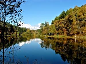 Photo 456744
